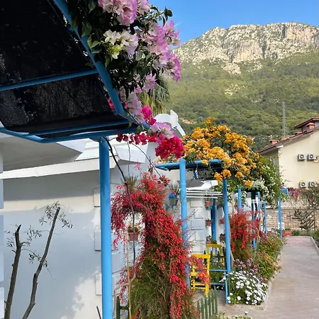 بيت خشبي Sunmed